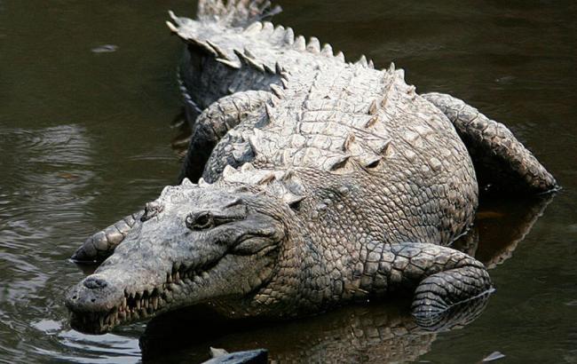 Гороскоп на сегодня, 4 ноября