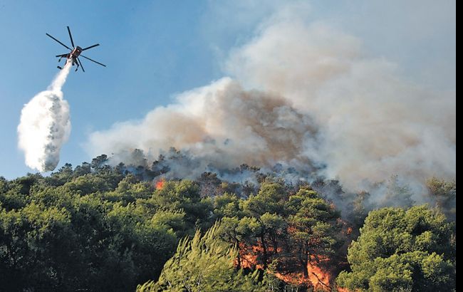 Гослесагентство допускает большие лесные пожары и "страшные экологические последствия"
