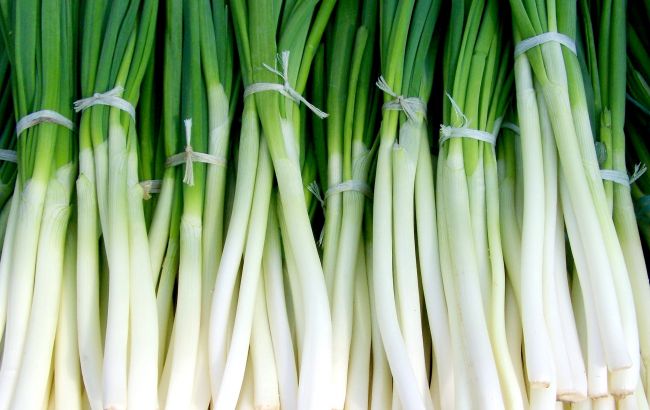 Как правильно заморозить на зиму зеленый лук: эти нюансы позволят сохранить все витамины