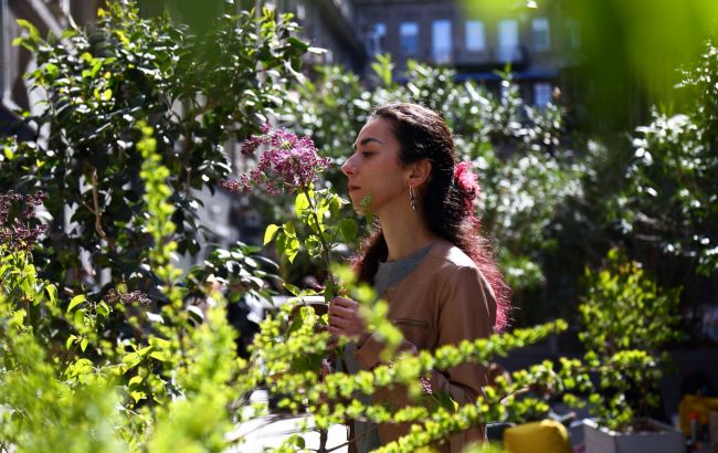 Грозы и похолодание: какой будет погода на следующей неделе