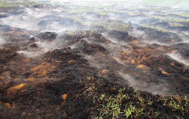 В Черкасской области уже пять дней горят торфяники