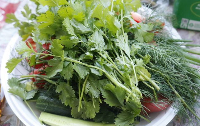 Названа самая полезная украинская зелень: добавляйте повсюду и ешьте каждый день