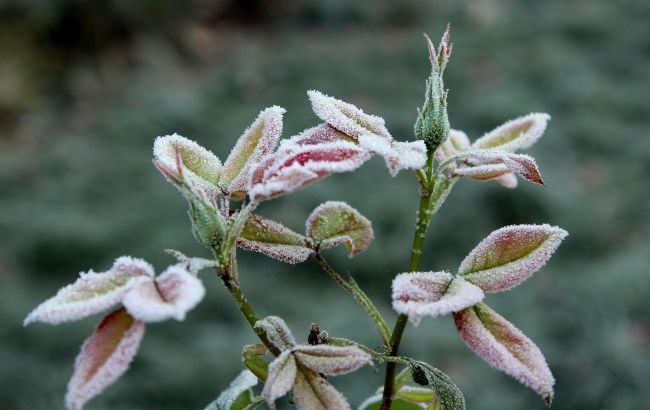 В Украину идет мощное похолодание: такого осенью еще не было