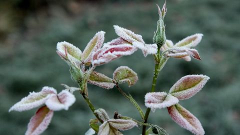 В Украину идут заморозки: какие области под ударом