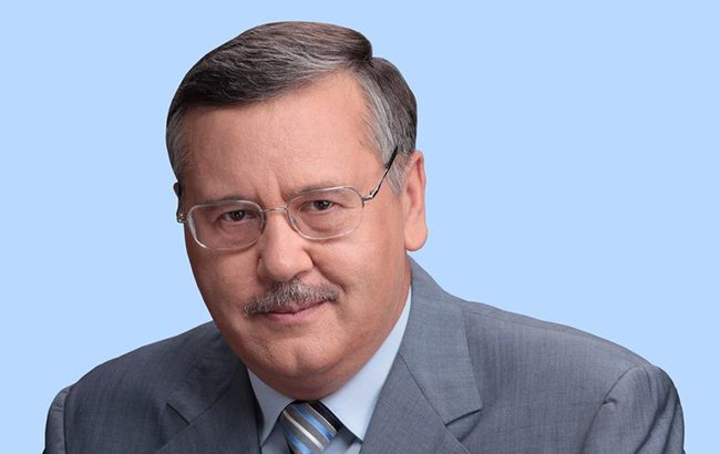 Гриценко выдвинули кандидатом в президенты