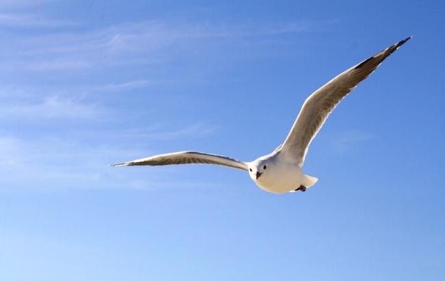 Синоптик дала прогноз погоди на 20 липня