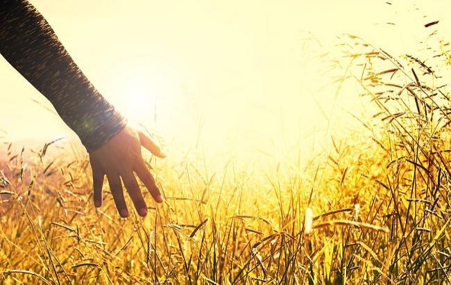 13 июня: праздники и важные события на этот день