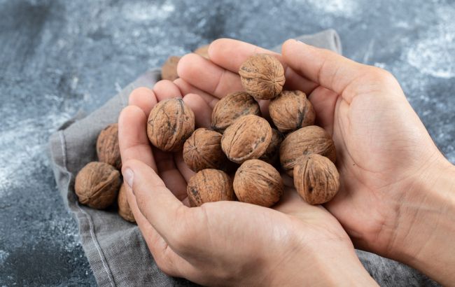 Ці способи допомжуть правильно зберігати волоські горіхи: не будуть з’являтися шкідники