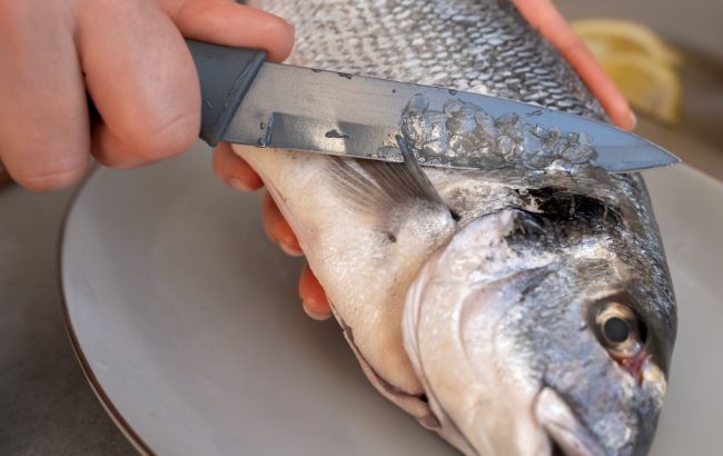 Как быстро почистить рыбу от чешуи: способ, который сэкономит время