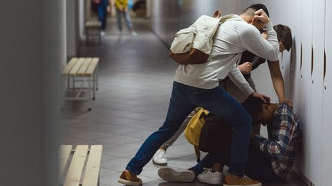 Сам напросился: на Прикарпатье учителя обвинили избитого второклассника (видео)