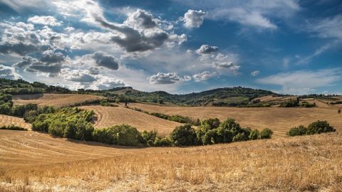 Погода в Украине: весна приготовила неожиданный сюрприз