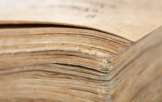 У Польщі виявили унікальний документ часів гетьмана Петра Дорошенка (фото)