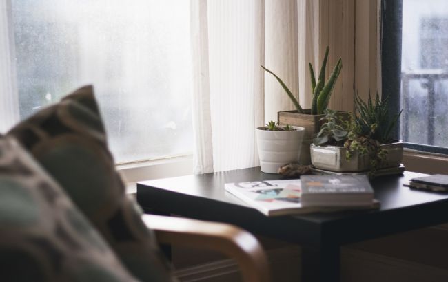 Охлаждаем дом без кондиционера: простые способы, о которых вы можете не знать