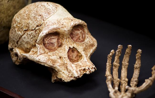 Археологи нашли в ЮАР "звездного мальчика"