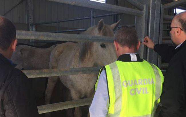 Европол задержал 66 человек по подозрению в причастности к "мясному скандалу"