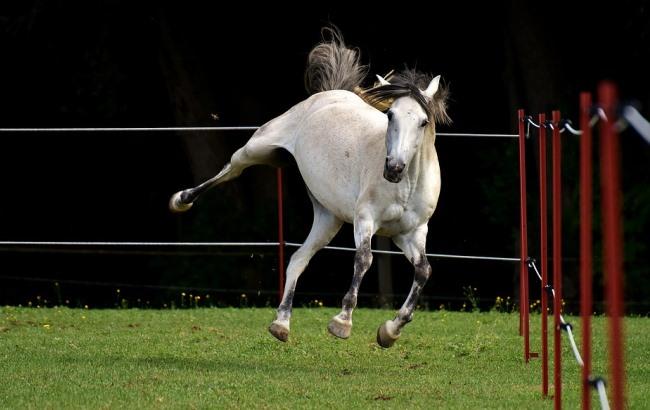 Синоптик дала прогноз погоди на кінець тижня