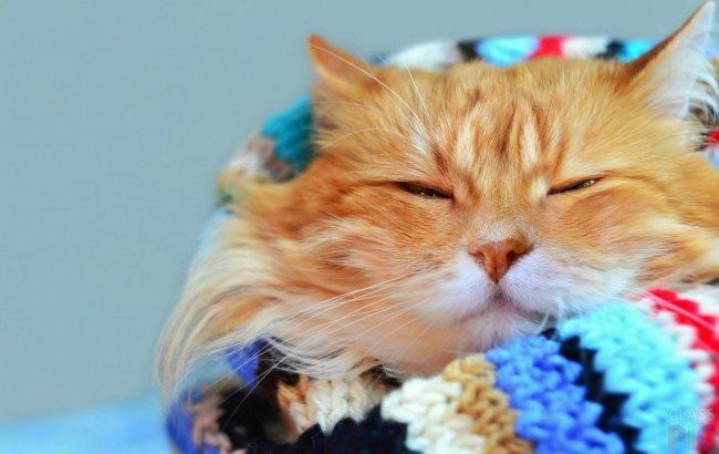 Синоптик порадила українцям одягнутися, як в лютому