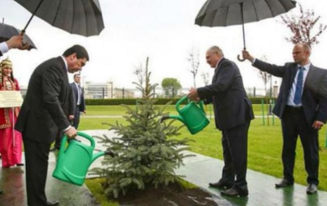 Много воды не бывает: Лукашенко с президентом Туркменистана поливали елку под дождем