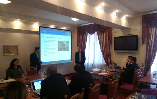 EPAL: український експорт можуть затримати на кордоні на 10 днів за підроблені піддони