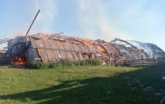 Росіяни накрили Сумську область з мінометів та артилерії: горить ферма (фото)