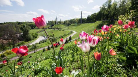 Завтра Україну накриють спека та дощі