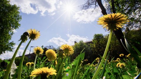 Украинцы поделились планами на майские выходные