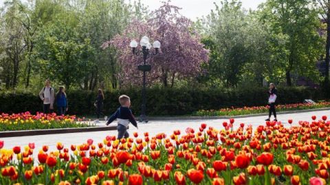 Сьогодні в Україні тепло