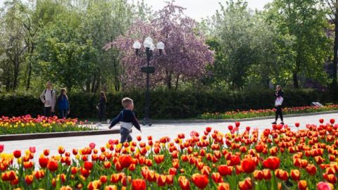 Синоптики дали прогноз погоди на вихідні