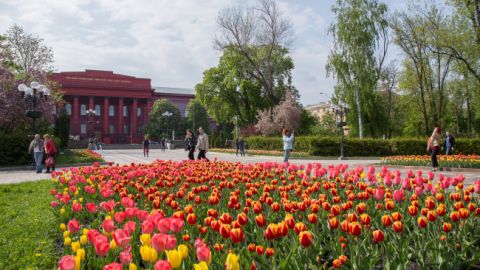 Цьогорічна весна в Києві увійшла до четвірки найтепліших в історії