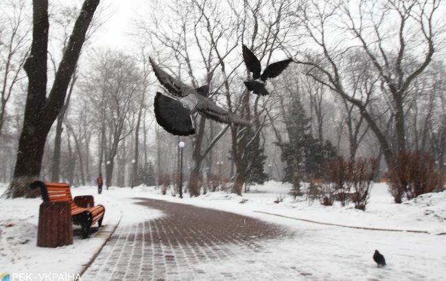 Мокрий сніг з дощем і похолодання: прогноз погоди в Україні