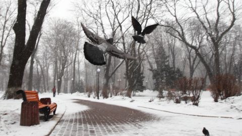 Дощі, мокрий сніг та до -10: прогноз на перші дні грудня