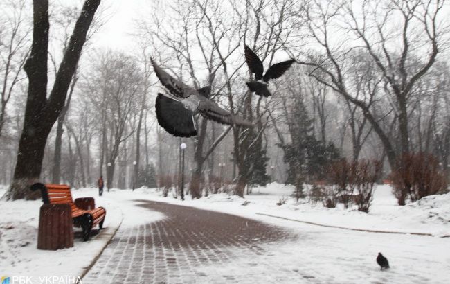 Погода на сегодня: в Украине местами снег, днем до +9