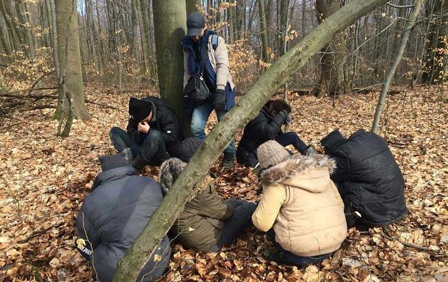Прикордонники виявили 9 нелегальних мігрантів із Сирії та В'єтнаму