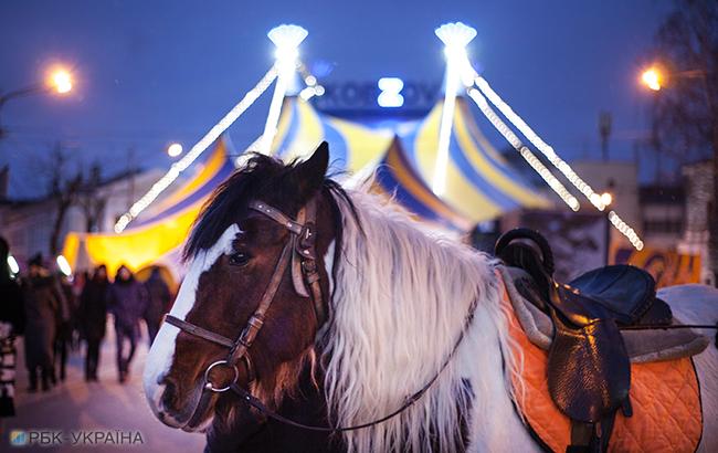 В Виннице запретили выступления передвижных цирков с животными