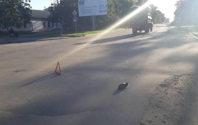 В Николаеве водитель сбил ребенка на пешеходном переходе и скрылся