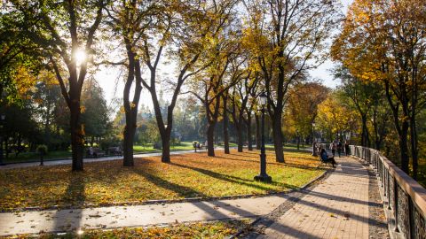 Якою буде погода в листопаді: прогноз Укргідрометцентру