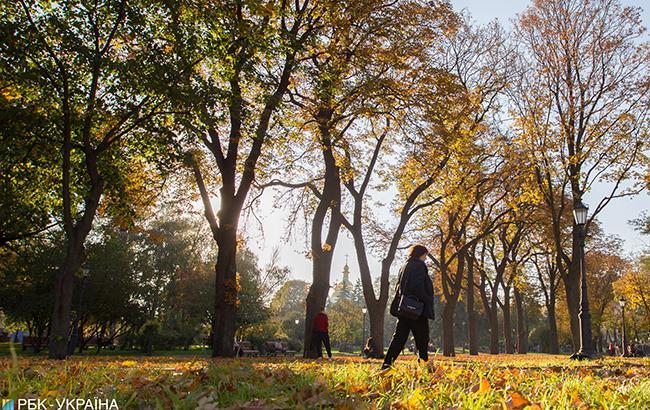 Резкое потепление после дождей: какой будет погода на выходных