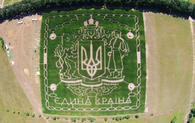 В Киеве появился гигантский кукурузный лабиринт: фоторепортаж