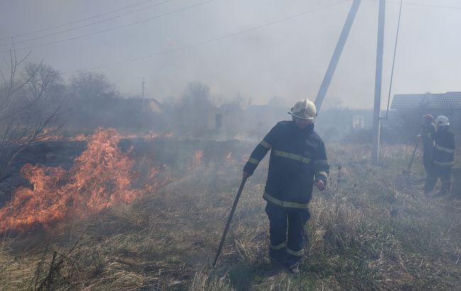 У Закарпатській області згоріли 35 га на території військового лісництва