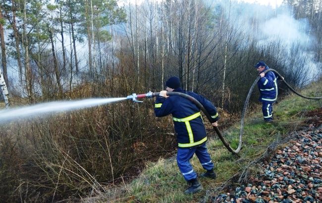 ГСЧС сформировала резерв на случай осложнения лесных пожаров