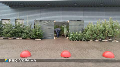 У Києві продавці новорічних ялинок позбулися їх цинічним способом (відео)