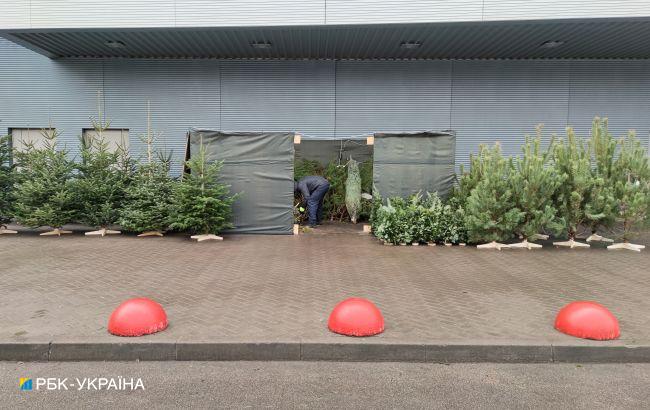 В Киеве продавцы новогодних елок избавились от них циничным способом (видео)