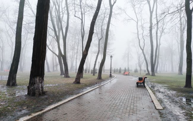 Після сильних морозів температура в Києві піднялася до максимуму в історії