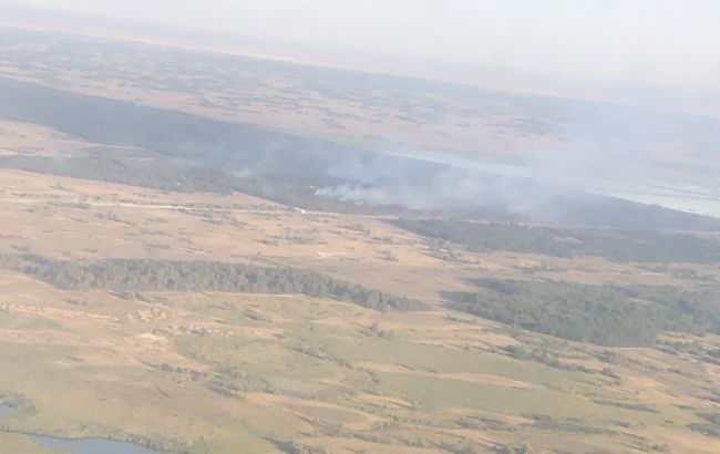 В Херсонской области локализовали лесной пожар