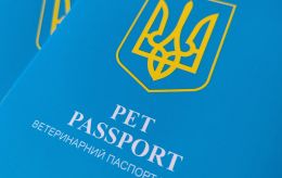 В Україні запровадили новий ветпаспорт для тварин: чи потрібно міняти старий документ