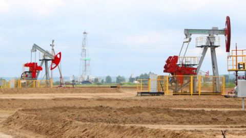 ОПЕК снизила прогноз мирового спроса на нефть из-за коронавируса