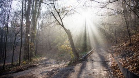 В деяких областях України пройдуть дощі