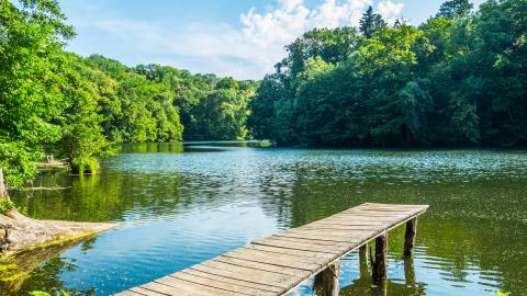 Город, которому повезло: Тростянец удивляет туристов Круглым двором и уникальным дендропарком