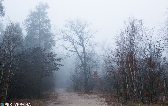 Погода на сьогодні: в Україні переважно без опадів, вдень до +8