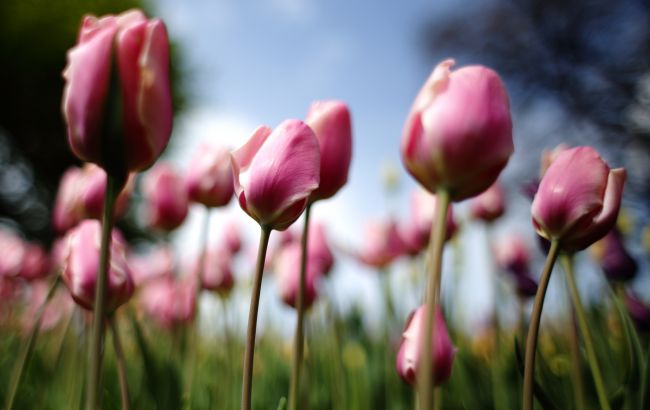 Спека до +30 та дощі з грозою: погода на вихідні